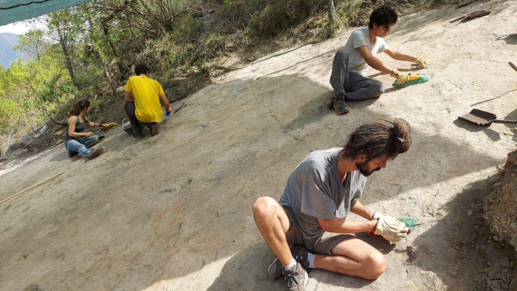 Coll de Nargó podria tenir el jaciment amb petjades de dinosaure de bec d’ànec més antic de Catalunya