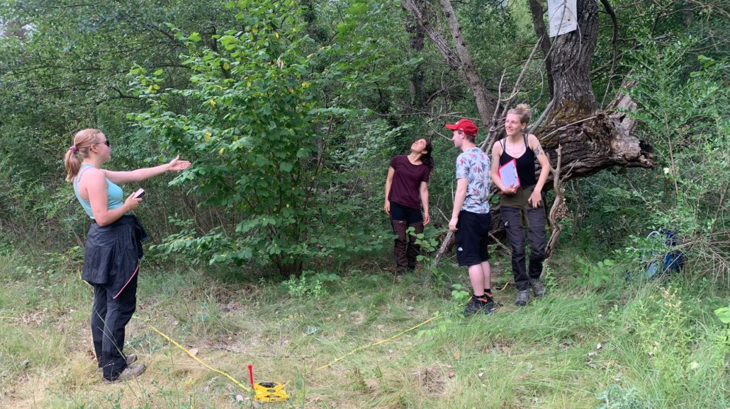Una trentena d’universitaris holandesos estudien la flora i la fauna de la reserva del Boumort