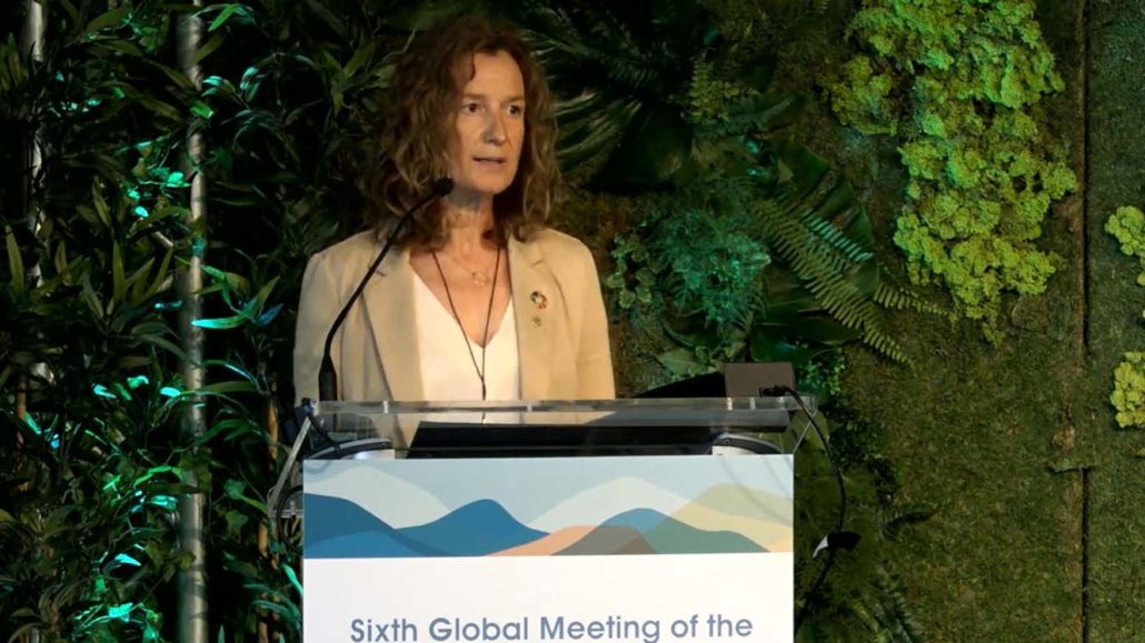 Andorra advoca per la unió d’esforços per fer front al canvi climàtic en zones de muntanya