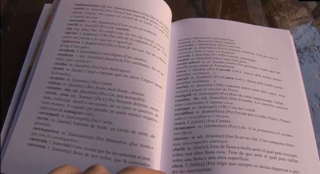 La parla ribagorçana ja té el seu primer diccionari