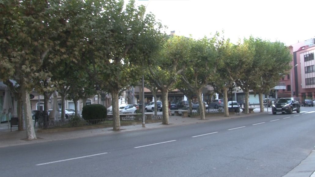 Tremp canvia la gestió de l’arbrat per millorar-ne el vigor