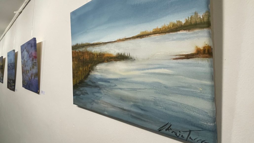 VÍDEO.- La Sala La Cuina de la Seu s’omple dels ‘Paisatges aquàtics’ de Mireia Tarrés