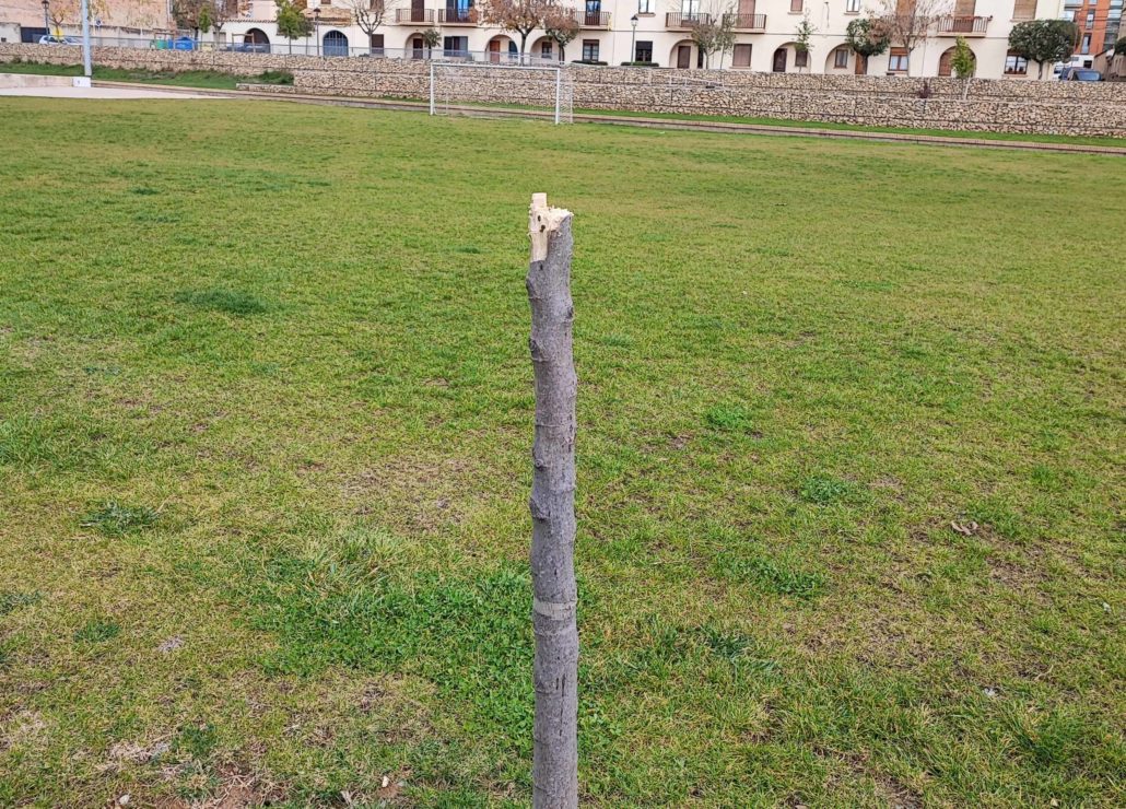 La Pobla de Segur denuncia actes vandàlics al parc Alcalde Boixareu