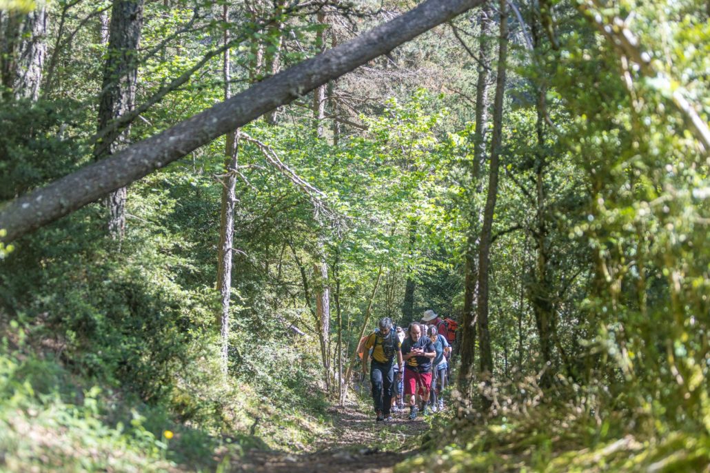 Una vuitantena de persones participen en la setena edició del Cerdanya Happy Walking
