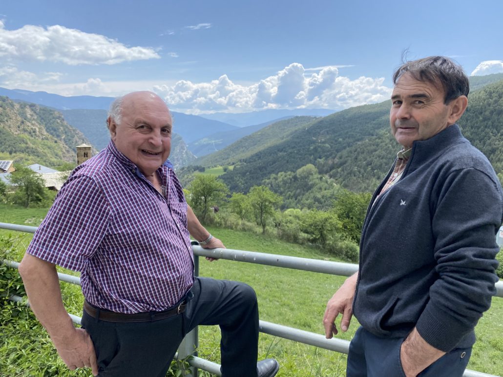 Ajuntament petit, municipi inabastable