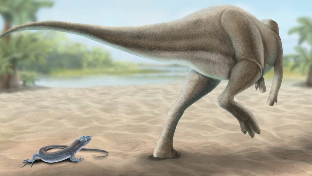 Descoberta una nova espècie de dinosaure que seria dels darrers en trepitjar el planeta