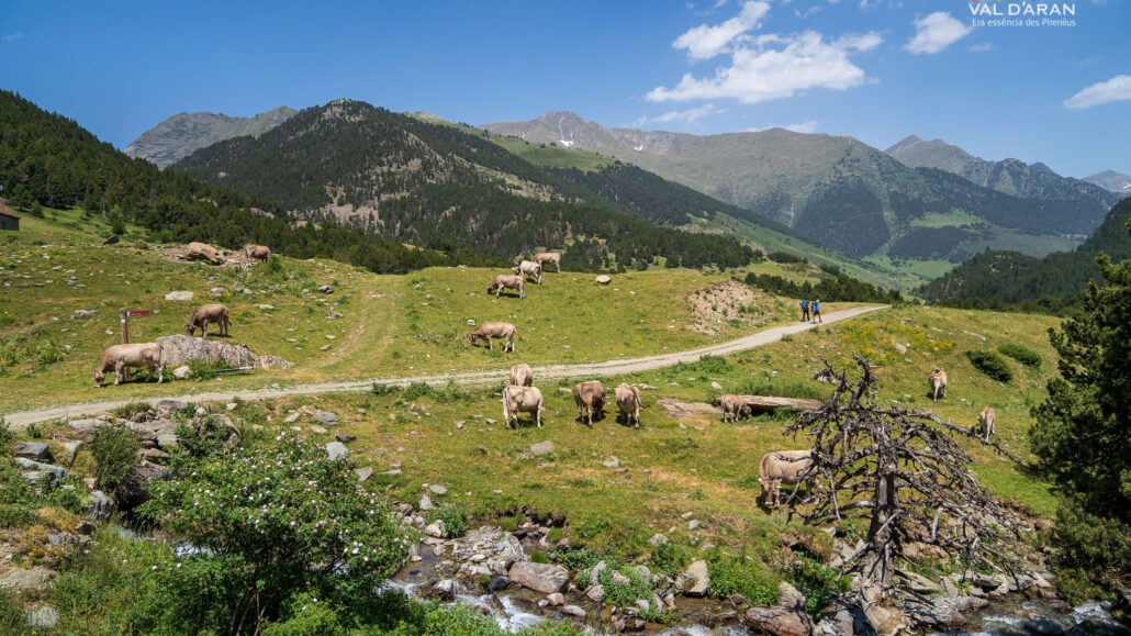 El govern d’Aran renova el conveni per conservar els camins de Naut Aran