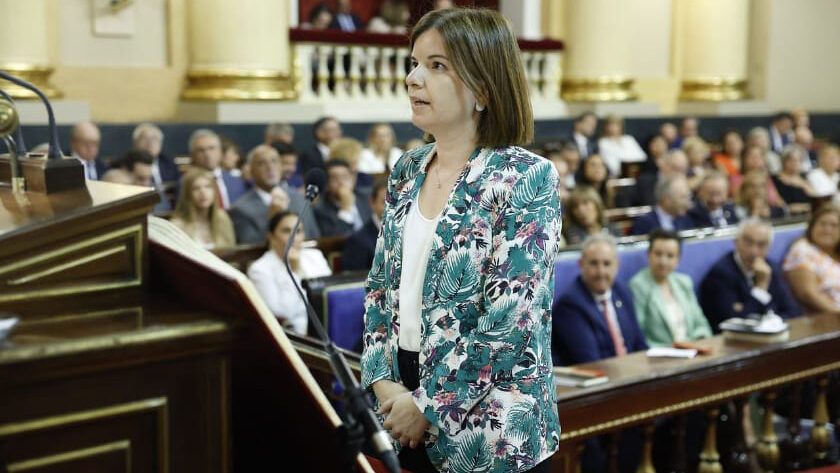 ERC exigeix al Senat més examinadors del permís de conduir a l’Alt Pirineu