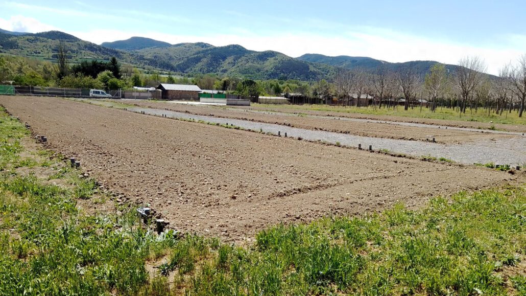 La Seu obre la convocatòria per accedir als horts socials per a persones vulnerables