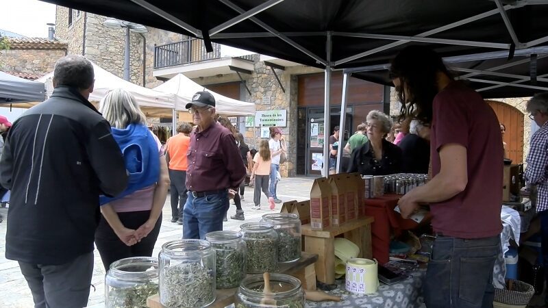 Bona valoració de la Festa de les Trementinaires