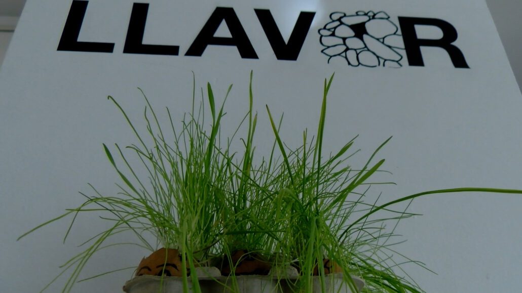 El projecte ‘Homo Pirinensis’ vol arribar a tot el Pirineu