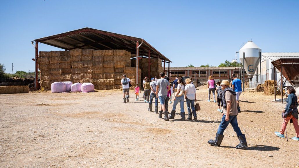 La 9ª edició de Benvinguts a Pagès clou amb més de 30.000 visitants a tota Catalunya