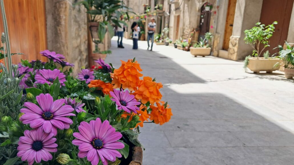 Els carrers de Salàs de Pallars han canviat cotxes per flors