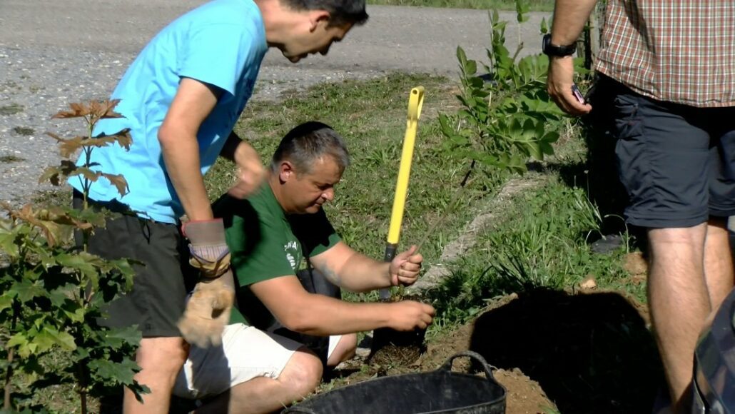 Jardineria adaptada a les necessitats climàtiques