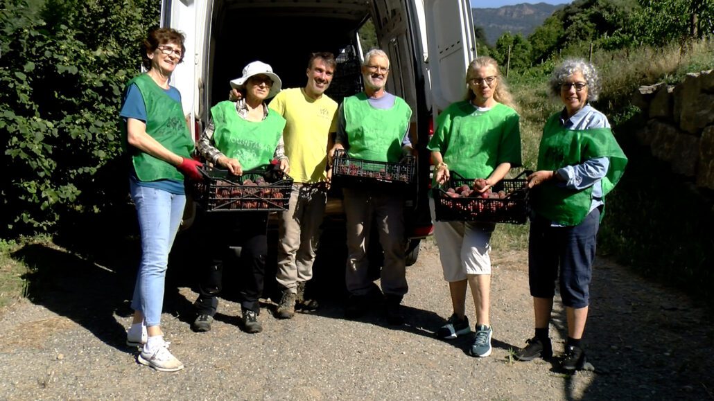Espigoladors per reduir el malbaratament alimentari