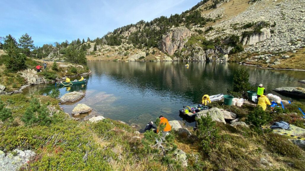 Aran acull la primera prova del sud d’Europa per a eliminar peixos invasors als Pirineus amb un biocida biodegradable