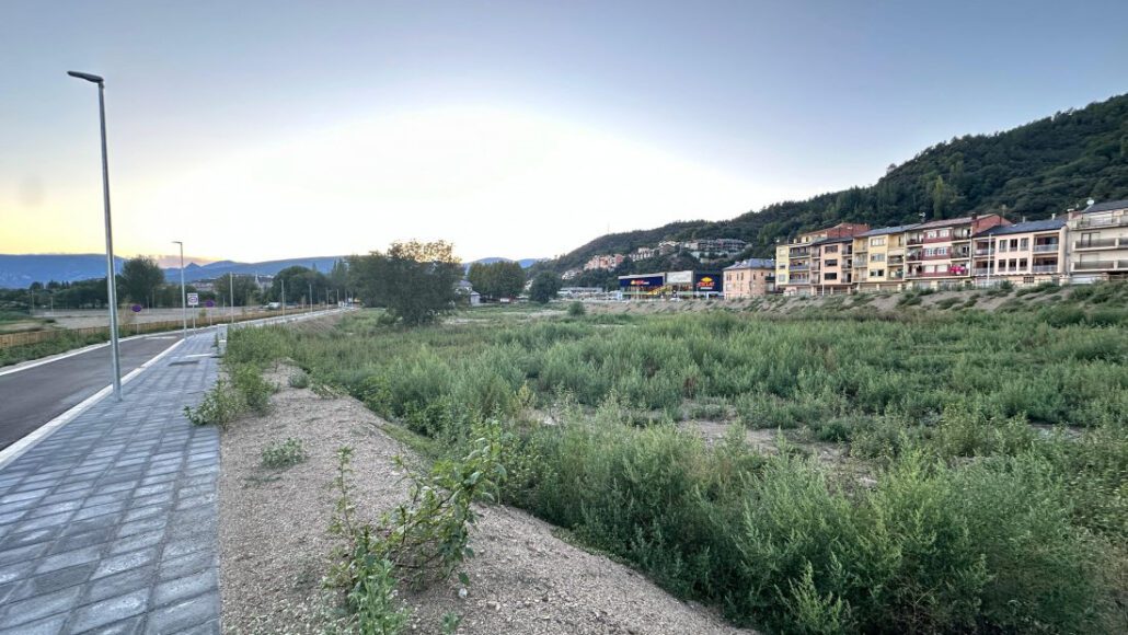 La Seu aprova la moció de Junts perquè la Generalitat prioritzi el nou hospital comarcal