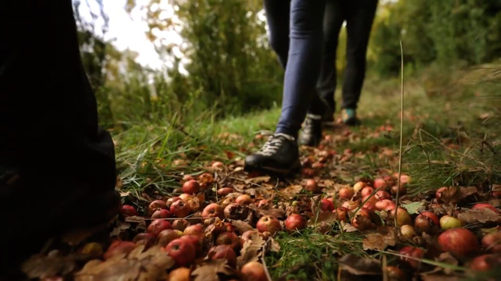Descobrir el patrimoni de la Ribagorça a través del senderisme