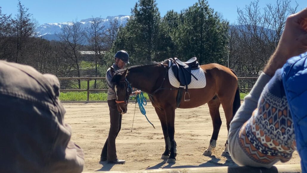 Una quarantena de persones es formen en comportament equí a l’EA del Pirineu
