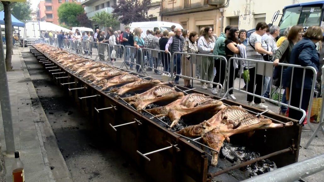 La Fira Pallars Terra de Corder 2025 ja té cartell