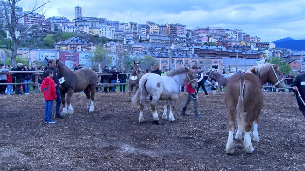 Un miler de persones visiten la Fira de Primavera de Puigcerdà