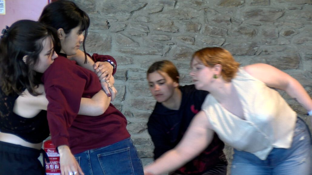 Joves de Catalunya, Irlanda i Gal·les es formen en teatre a Estamariu