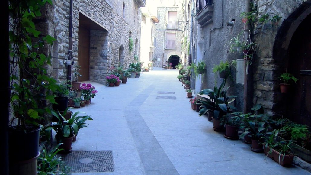 Carrer guarnit amb plantes i flors