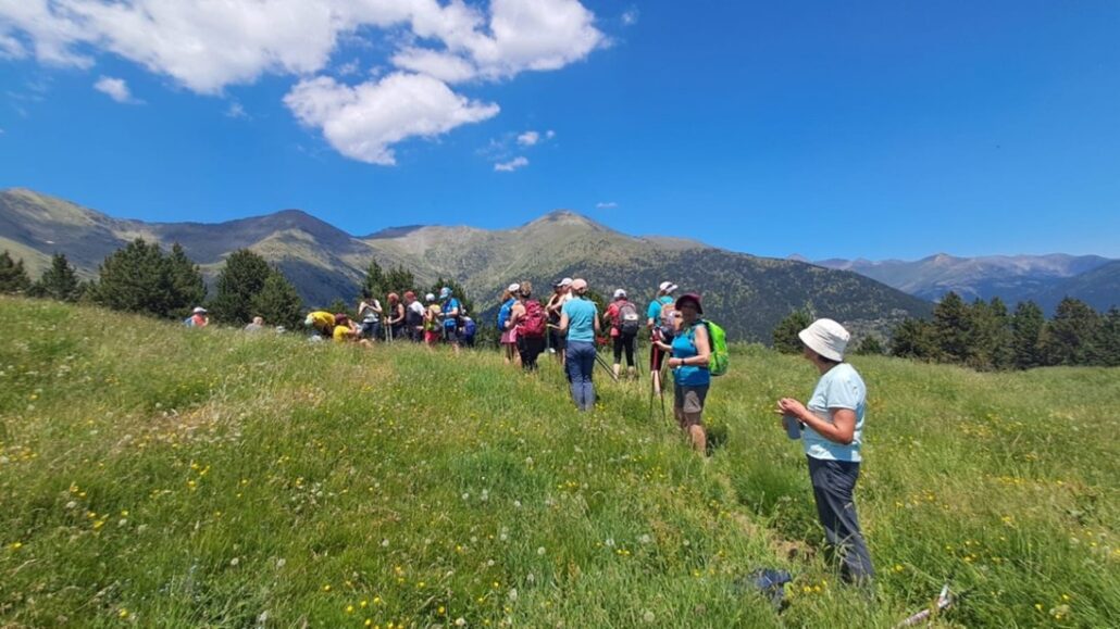 Gent fent una caminada