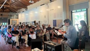 Actuació musical davant públic