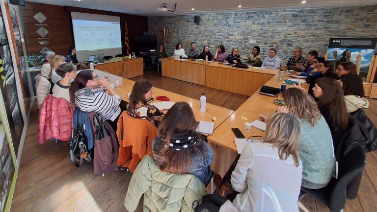 La Taula de Salut Mental de l’Alta Ribagorça crearà tres comissions de treball durant el 2026