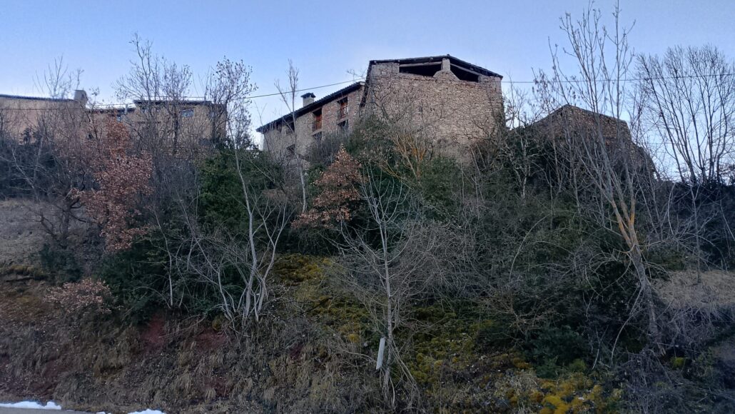 Integra Pirineus farà una franja de protecció contra incendis al voltant de Torà de Tost