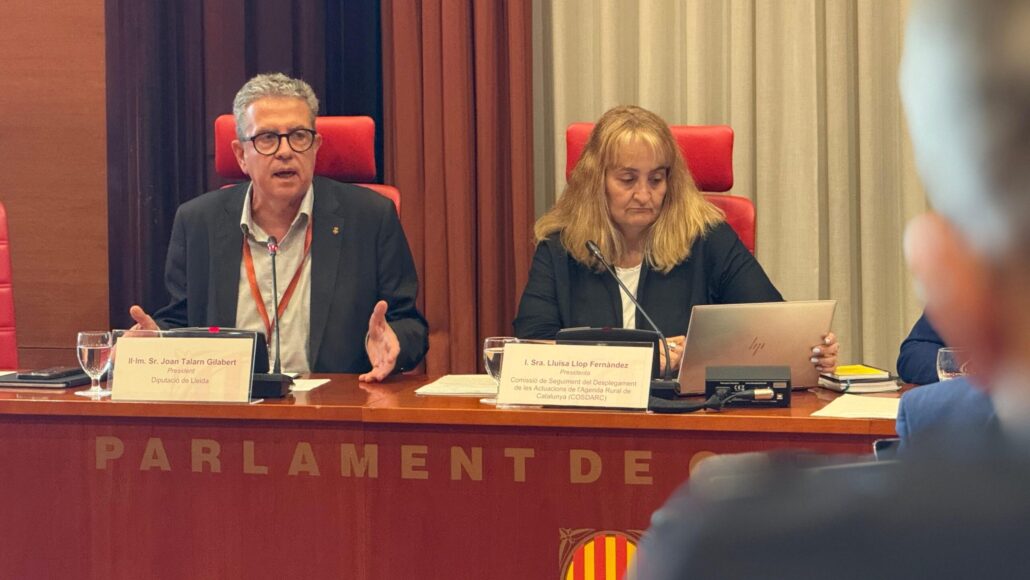La Diputació de Lleida defensa al Parlament la capacitat del Pirineu per liderar iniciatives de gestió de boscos