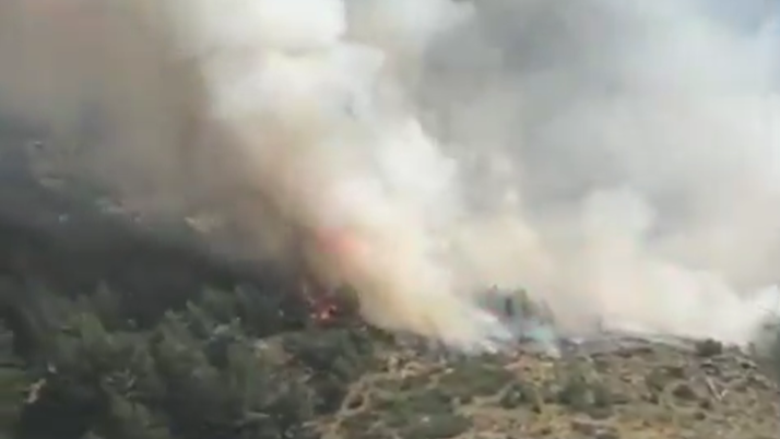 L’incendi de Farrera arriba a la carena i crema amb alta intensitat